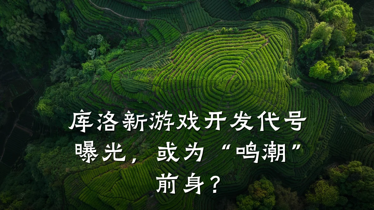 库洛新游戏开发代号曝光,或为“鸣潮”前身?