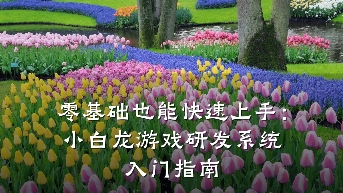 零基础也能快速上手:小白龙游戏研发系统入门指南