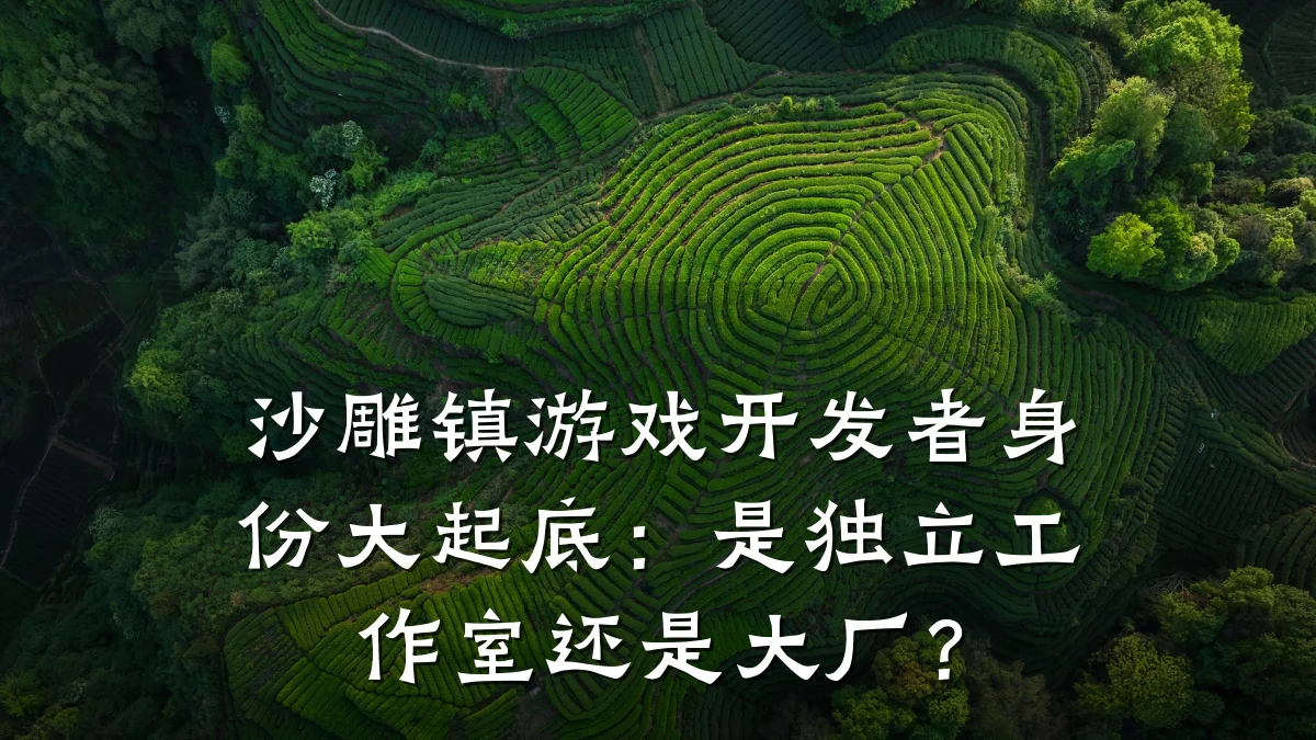沙雕镇游戏开发者身份大起底:是独立工作室还是大厂?
