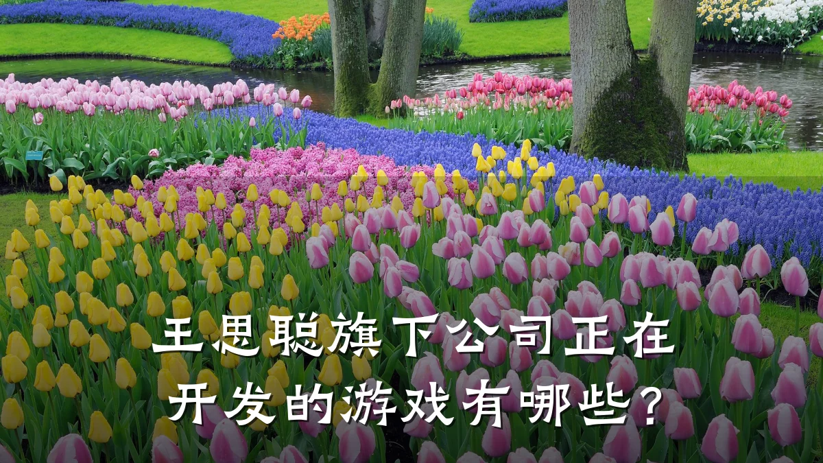 王思聪旗下公司正在开发的游戏有哪些？
