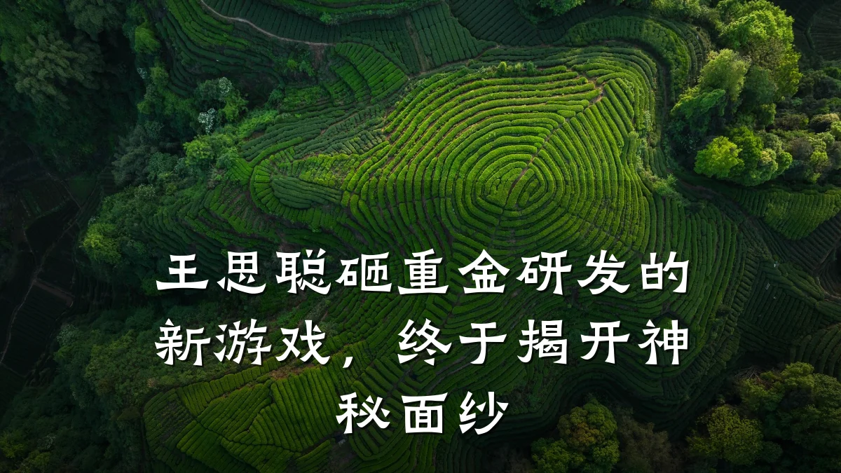 王思聪砸重金研发的新游戏，终于揭开神秘面纱