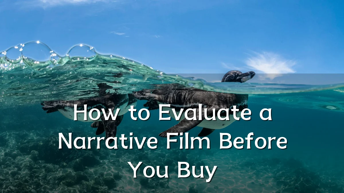 How to Evaluate a Narrative Film Before You Buy