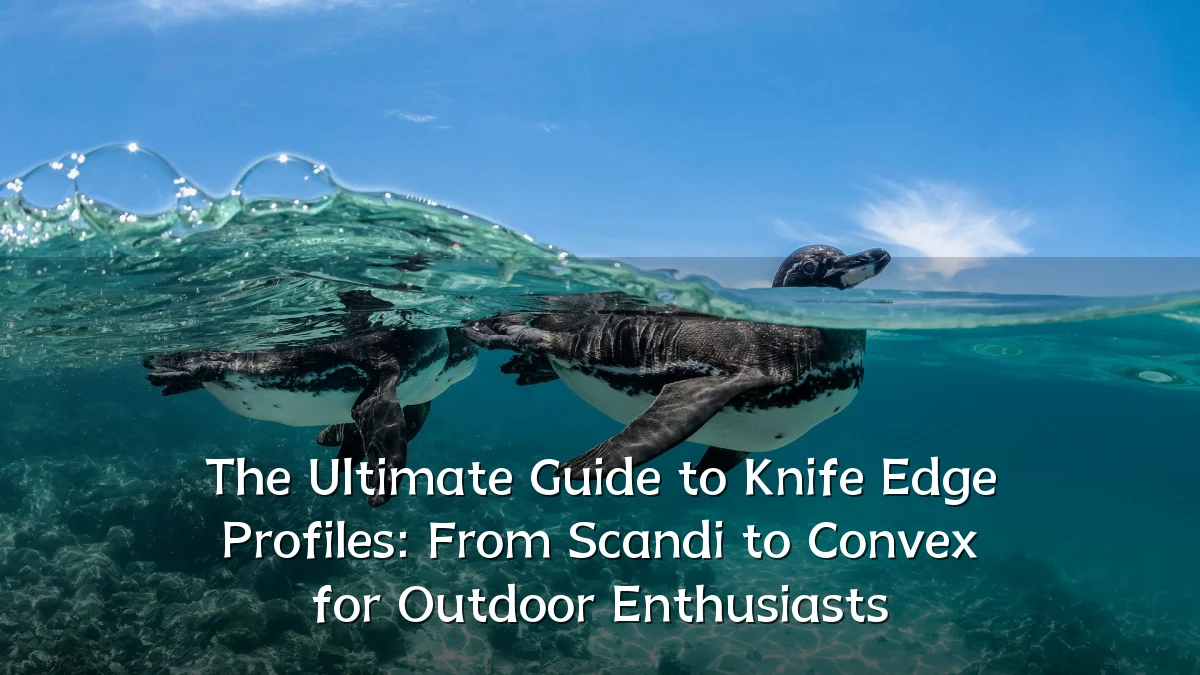 The Ultimate Guide to Knife Edge Profiles: From Scandi to Convex for Outdoor Enthusiasts