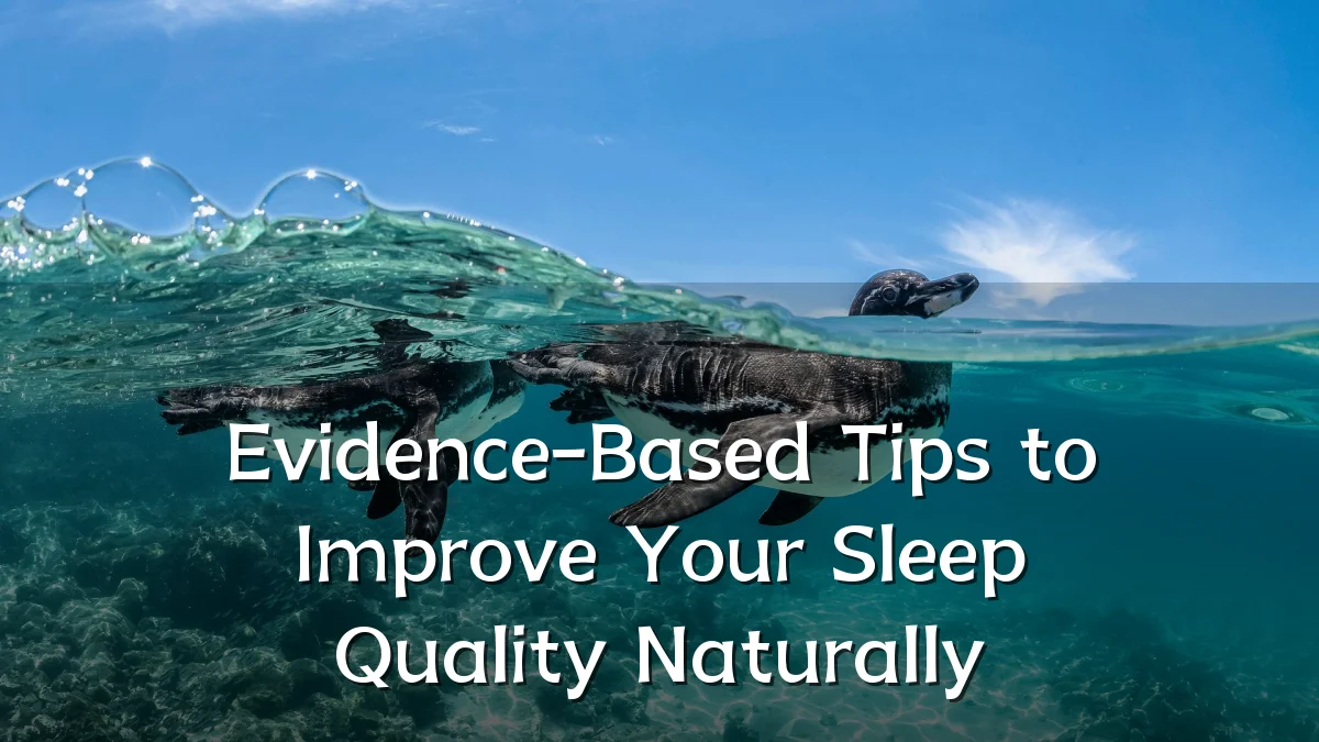 Evidence-Based Tips to Improve Your Sleep Quality Naturally