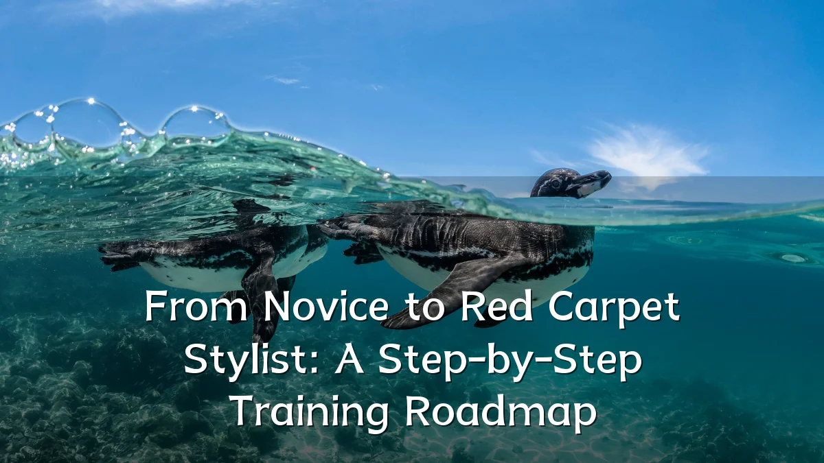 From Novice to Red Carpet Stylist: A Step-by-Step Training Roadmap