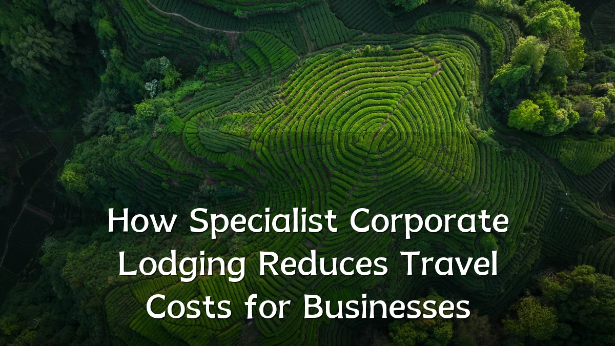 How Specialist Corporate Lodging Reduces Travel Costs for Businesses