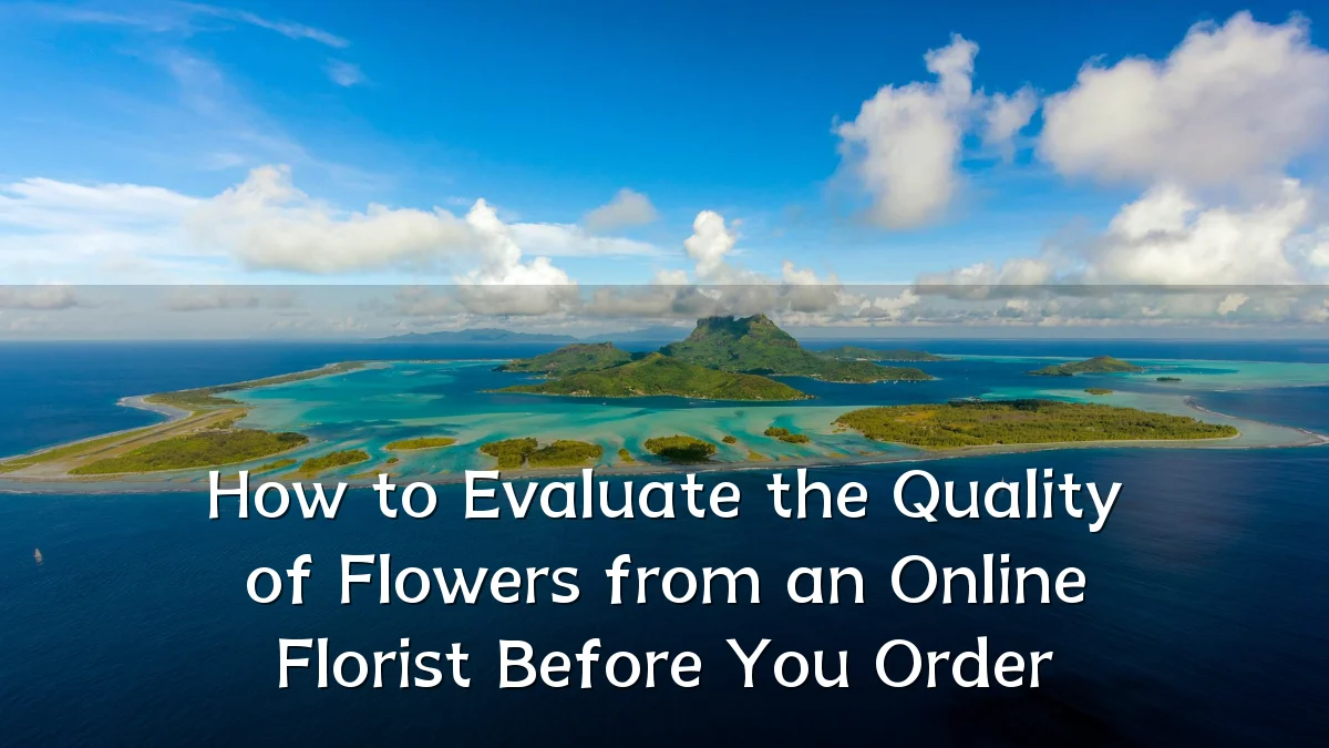 How to Evaluate the Quality of Flowers from an Online Florist Before You Order