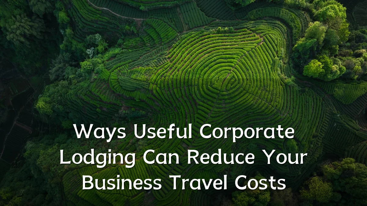 Ways Useful Corporate Lodging Can Reduce Your Business Travel Costs