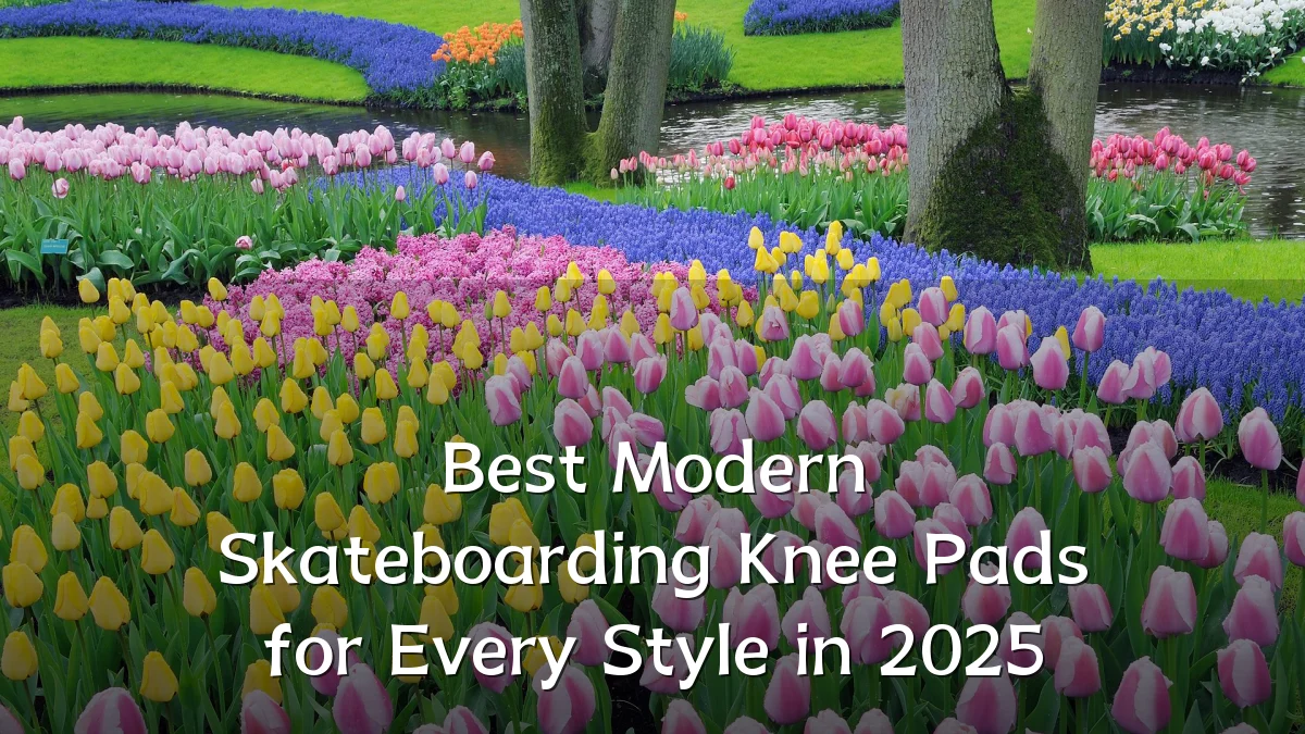 Best Modern Skateboarding Knee Pads for Every Style in 2025