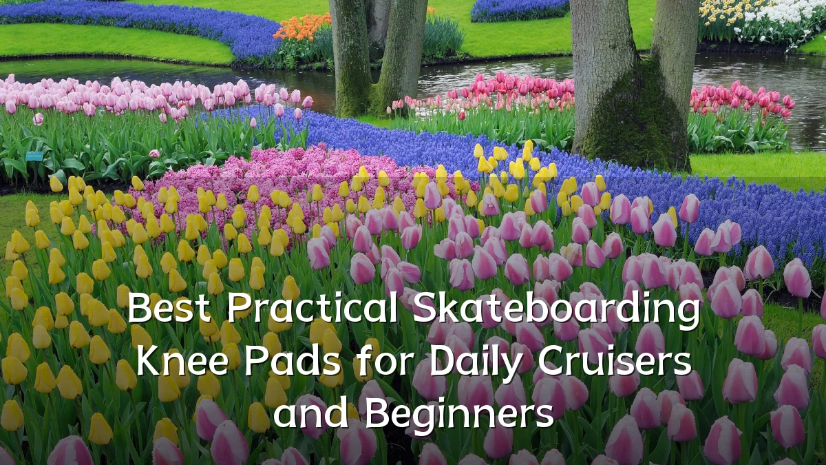 Best Practical Skateboarding Knee Pads for Daily Cruisers and Beginners