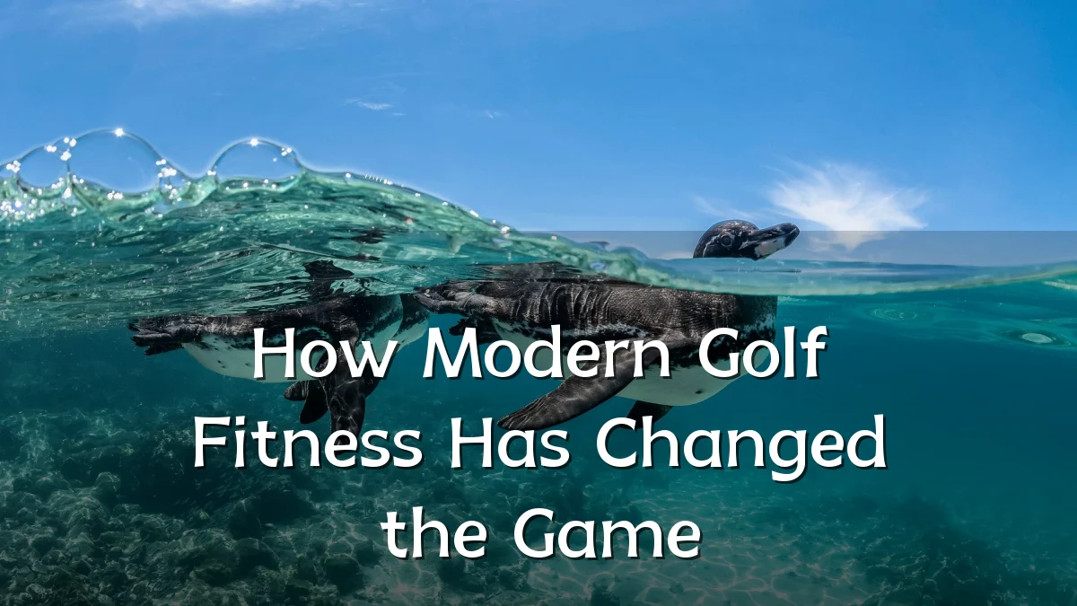How Modern Golf Fitness Has Changed the Game