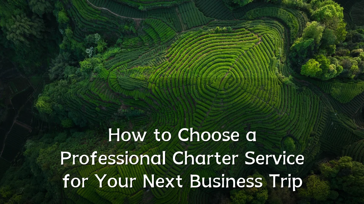 How to Choose a Professional Charter Service for Your Next Business Trip