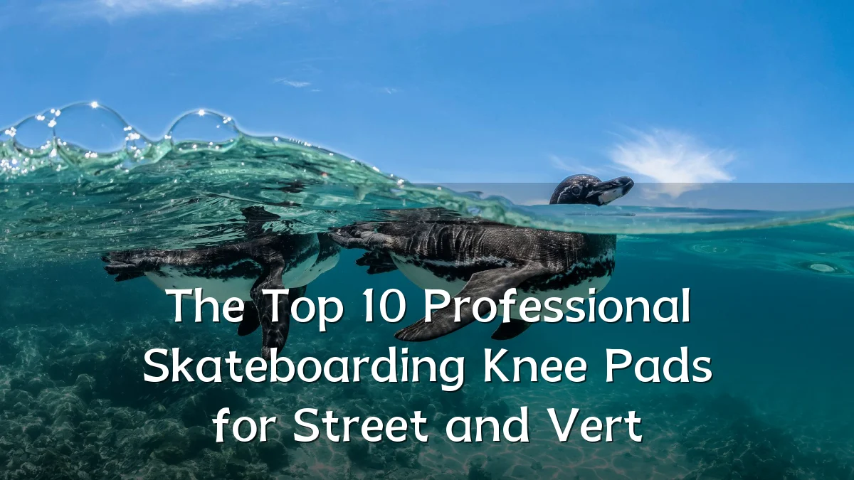 The Top 10 Professional Skateboarding Knee Pads for Street and Vert