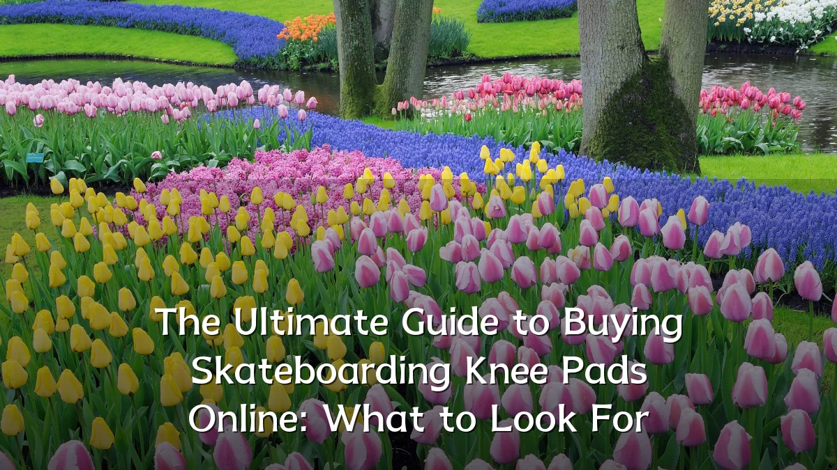 The Ultimate Guide to Buying Skateboarding Knee Pads Online: What to Look For