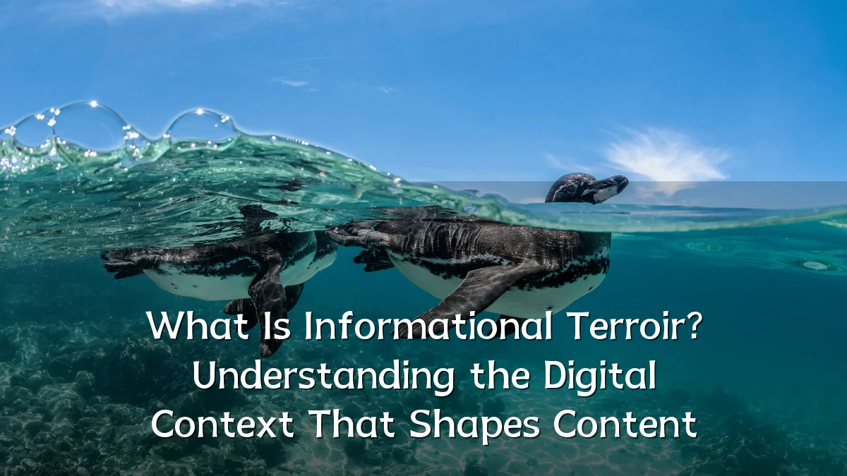 What Is Informational Terroir? Understanding the Digital Context That Shapes Content