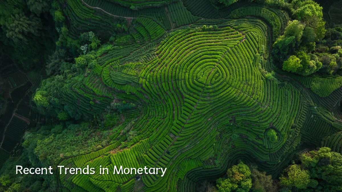 Recent Trends in Monetary