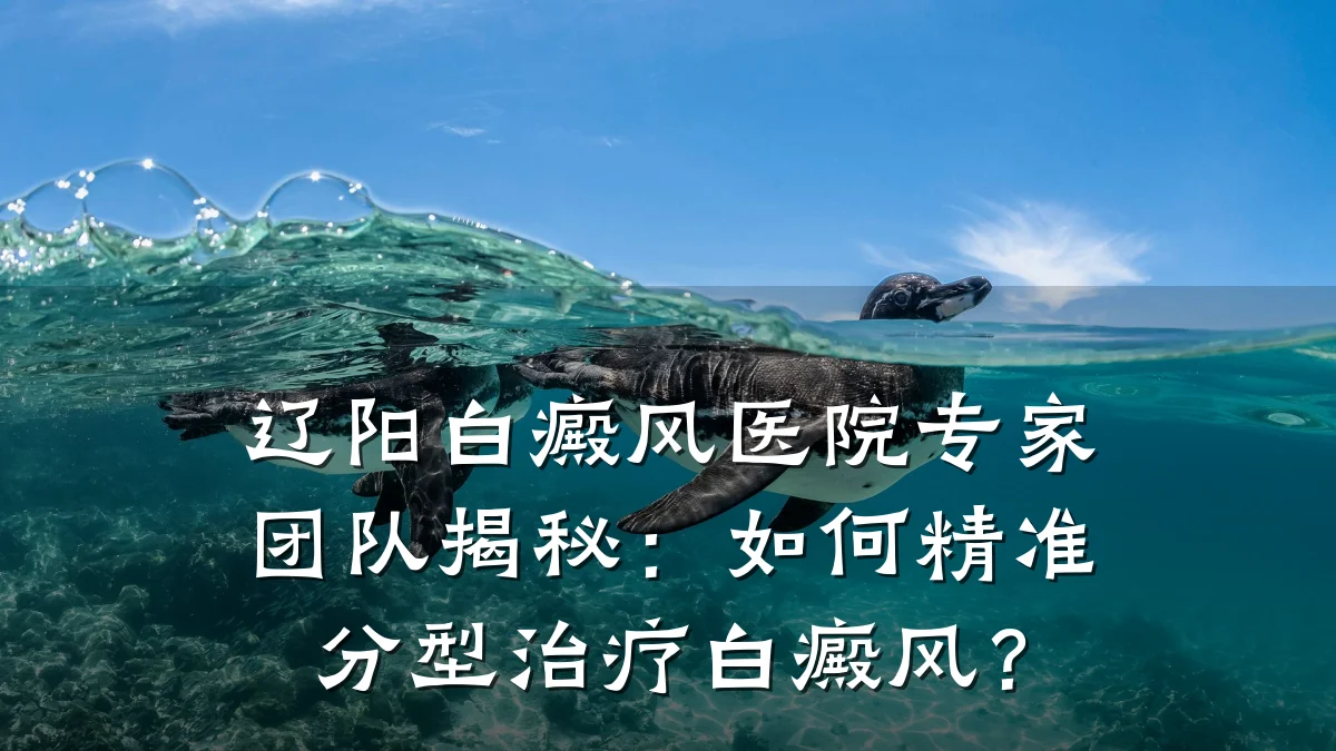 辽阳白癜风医院专家团队揭秘:如何精准分型治疗白癜风?
