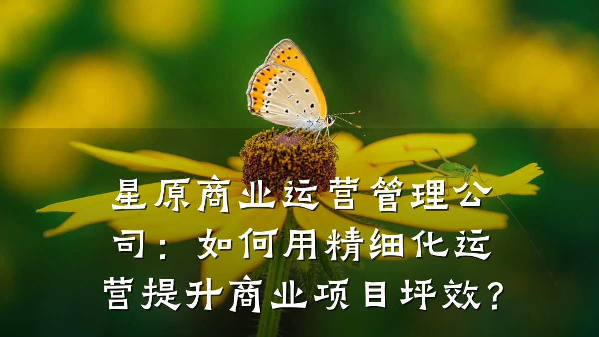 星原商业运营管理公司:如何用精细化运营提升商业项目坪效?