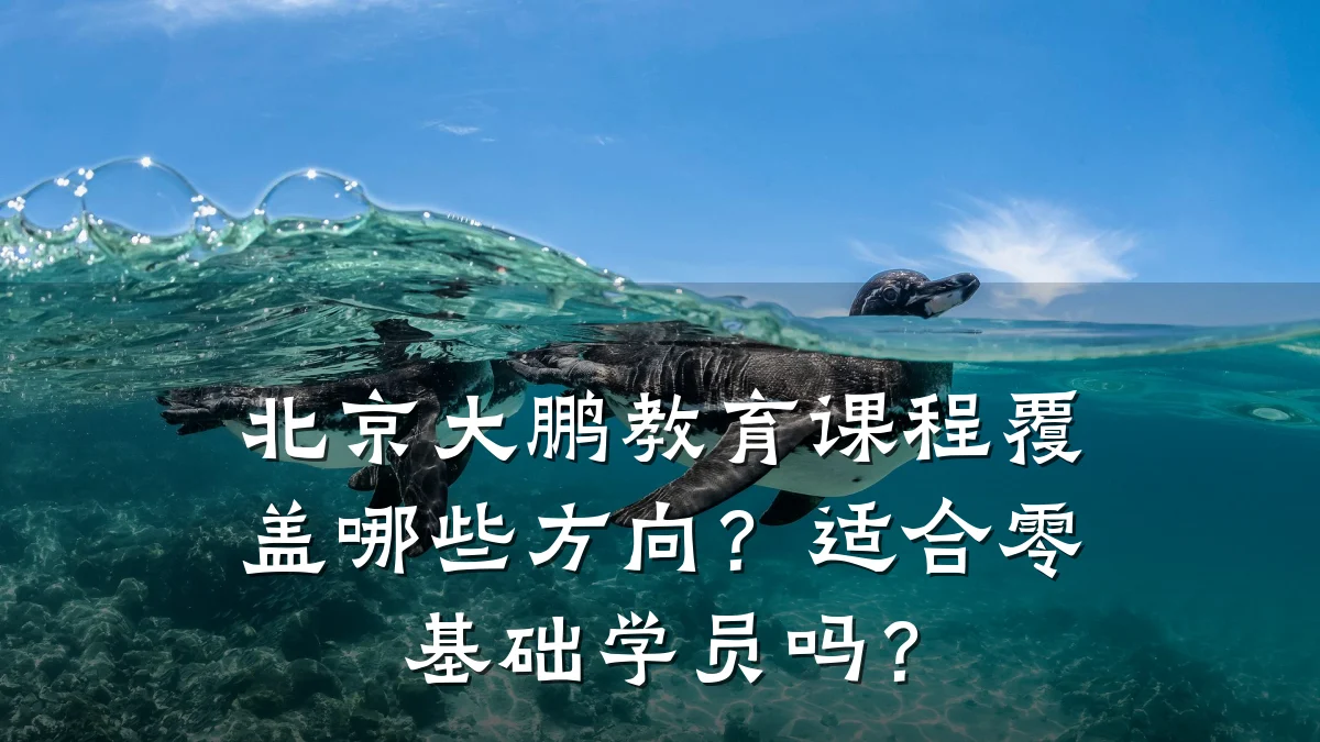 北京大鹏教育课程覆盖哪些方向？适合零基础学员吗？